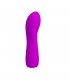 Vibrador Adam USB Silicona Purpura