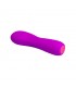 Vibrador Adam USB Silicona Purpura