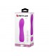 Vibrador Adam USB Silicona Purpura