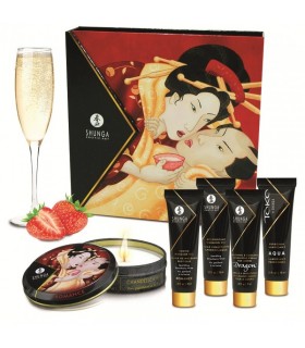 KIT GEISHA FRESAS/VINO 5PZAS SHUNGA