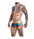C4M06 Athletic Trunk Arcoiri Rainbow
