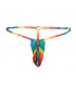 C4M09 Tanga Loopstring Pouch Arcoiris Rainbow