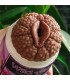 Lata Masturbadora Vagina Wild Ale