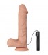 Vibrador Realista 10.2 Control Remoto