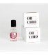 PERFUME ORCHID OIL 20ML