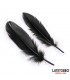 Set de 3 Piezas Antifaz, Esposas y Plumas Negro