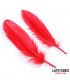 Set de 3 Piezas Antifaz, Plumas y Esposas