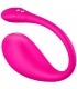 VIBRADOR LUSH 3 APP USB