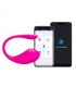VIBRADOR LUSH 3 APP USB