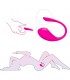 VIBRADOR LUSH 3 APP USB