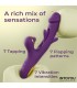 Siter Vibrador con Lengua Movimiento Flipping y Bola Golpete