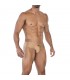 C4MSPX22 Calzoncillo Hybryd Cheeky Golden Sand