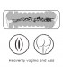 Masturbador Masculino Virgin-skin Vagina y Ano