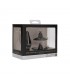 Set Plug Anal y Ventosa Putiaguda Grande Negro