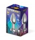 Dimpor Plug Anal Cromado con Vibración USB Magnético Talla M