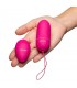 Estimulador con Control Remoto