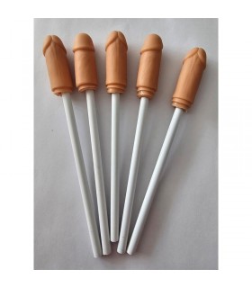 5 Lapices con Punta de Pene