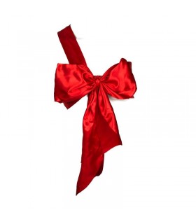 Accesorio Lazo Rojo