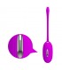 Shock Fun Huevo Vibrador con Electro Shock y Control Remoto