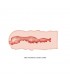 Isabel Masturbador Vagina Fresh Surface