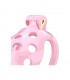 Jaula para el Pene PC03 Rosa