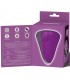 Flicker Estimulador con Flicking
