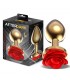 Plug Anal de Metal Dorado con Rosa Roja en la Base Talla L