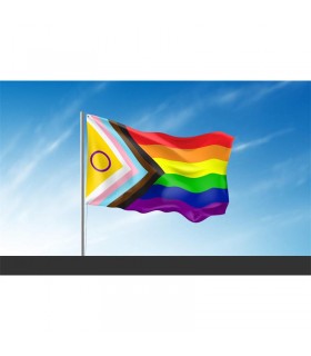 Bandera Intersexsual 90x150cm