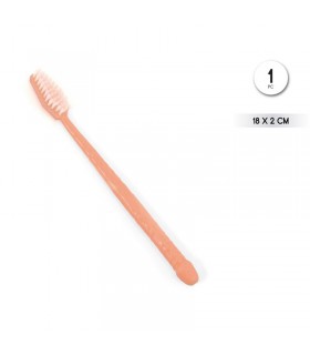 Cepillo Dientes Forma de Pene