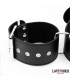 Collar y Esposas Ajustables