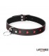 Collar con Correa 52 cm