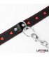 Collar con Correa 52 cm