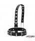Collar con Gancho para la Nariz