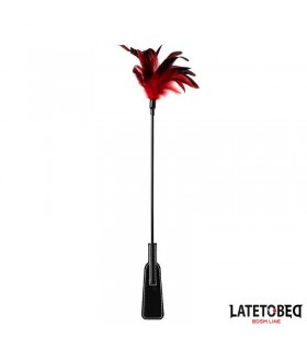 Pala con Plumas 2 en 1