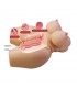 Masturbador Vagina y Ano 7.5 kg