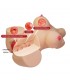 Masturbador Vagina y ano 4.8kg