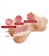 Masturbador Vagina y Ano 1.9kg