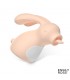 ESTIMULADOR CLITORIS CAROTTY LICKING