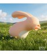 ESTIMULADOR CLITORIS CAROTTY LICKING
