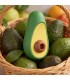 SUCCIONADOR CLITORIS AVOCADO