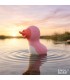 ESTIMULADOR CLITORIS QUACKY LICKING