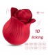 Licking rose
