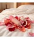 NexEgg Motion Huevo Vibrador con Thrusting App Beige/Rosa