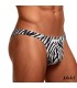Jake Tanga Tiro Bajo Zebra