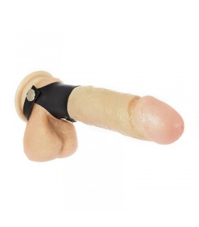 Anillo para el Pene y Testículos