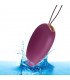 Garland 2.0 Huevo Vibrador Control Remoto USB Silicona Líqui