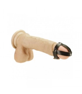 Arnés para Pene Ajustable