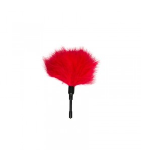 Plumas Pequeñas - Rojo