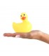 I Rub My Duckie 2.0 Classic Amarillo