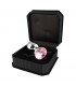 Plug XS con Cristal 5.7 cm